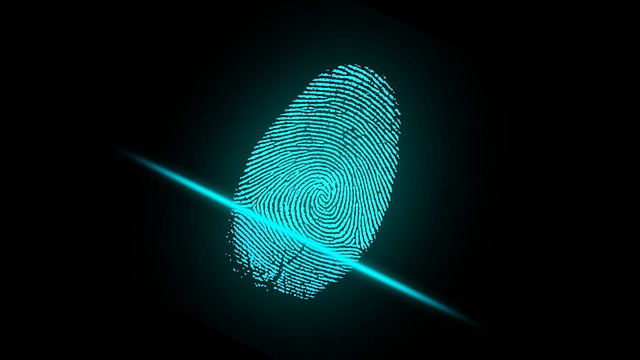 Fingerprint authentication